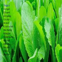 Tháng 4 trồng cây gì